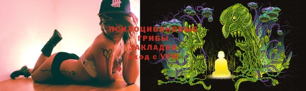 шишки Остров