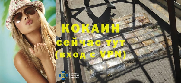 дмт Лабытнанги