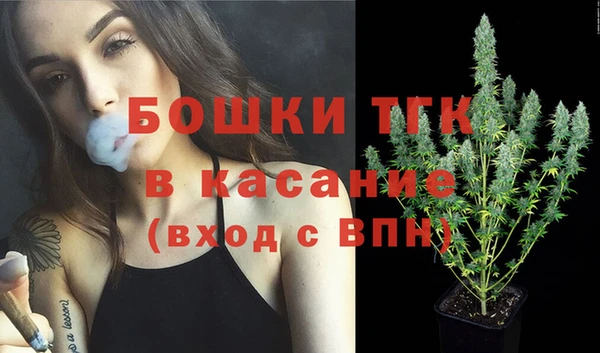 крисы Осинники