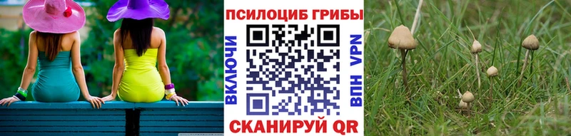 Галлюциногенные грибы GOLDEN TEACHER  Нерчинск 