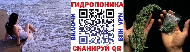 Каннабис индика  Нерчинск 
